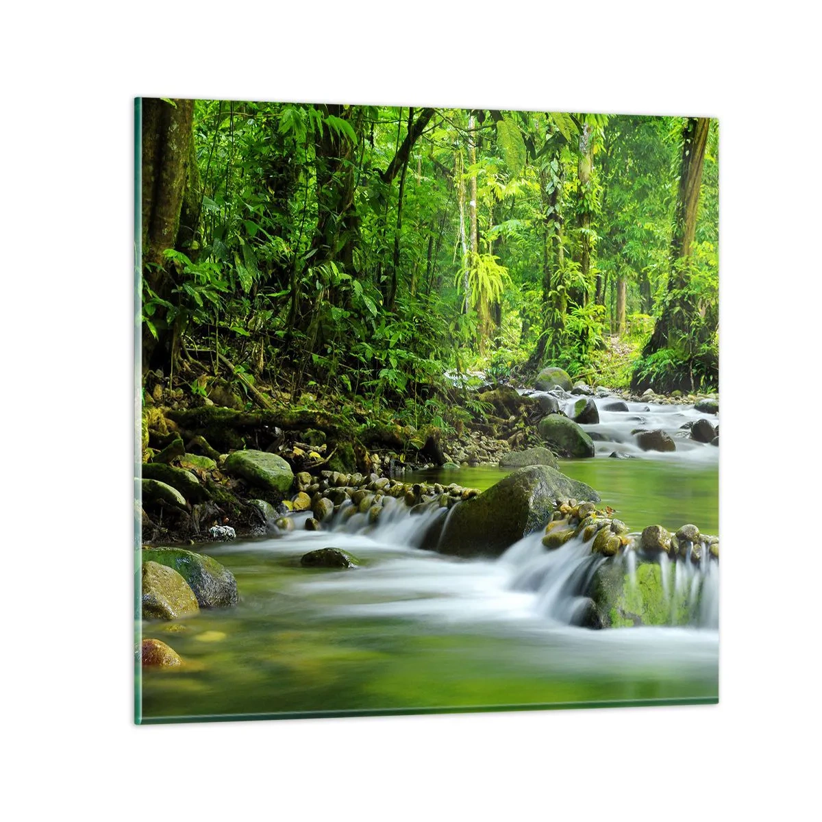 Glass picture - Swimming in the Sea of Green - 40x40 cm