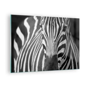 Glass picture - Black and white portrait of a zebra with visible stripes - 70x50cm - World Is Black and White - Modern wall decoration for the living room and bedroom ARTTOR