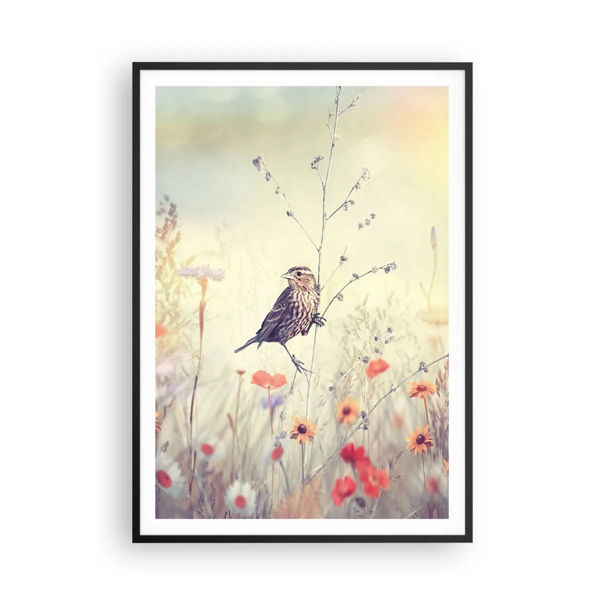Poster in black frame - Bird Portrait with a Meadow in the Background - 70x100 cm