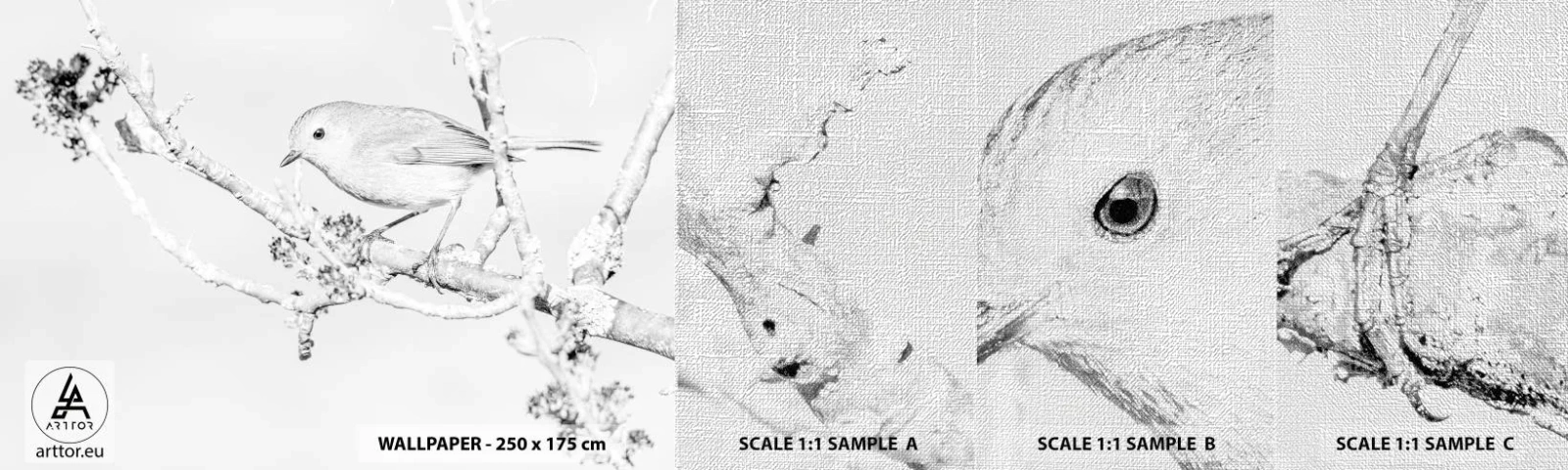 Photo Wallpaper Sample Premium Canvas - Winter Morning - Bright, Bird, Nature - 100x30 cm