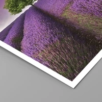 Unframed