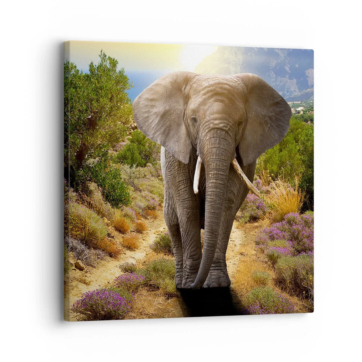 Canvas picture - This is What Eden Looked Like - 30x30 cm