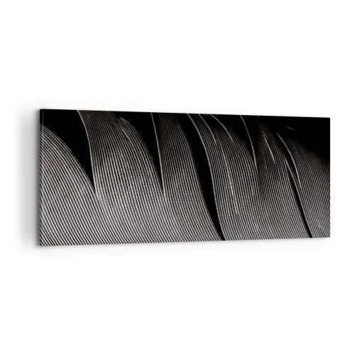 Canvas picture - Feather - Wonderful Constract - 100x40 cm