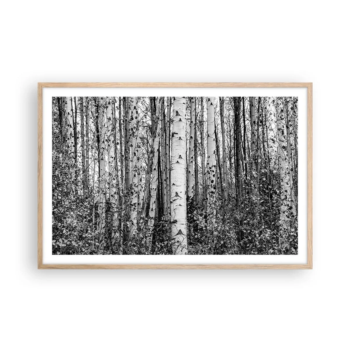 Poster in light oak frame - Birch Colonnade - 91x61 cm