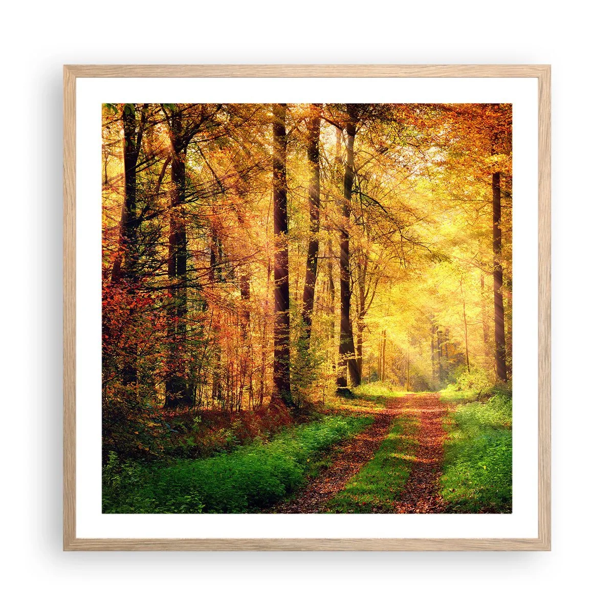 Poster in light oak frame - Forest Golden silence - 60x60 cm