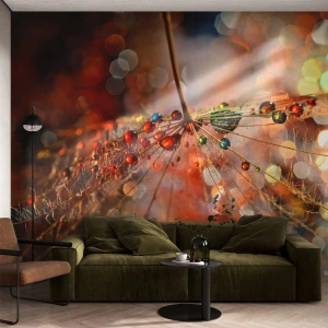 Self-Adhesive Photo Wallpaper Deluxe Sticker - Strung on a Spider's Web - Abstraction, Spider's web, Piece - 400x280 cm