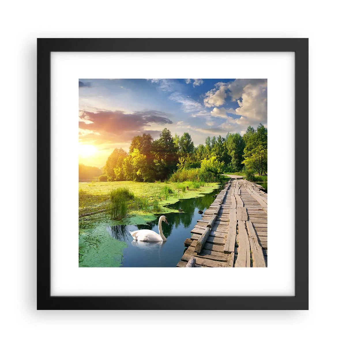 Poster in black frame - Summer Everywhere - 30x30 cm