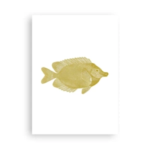 Poster - Just a Fish - 50x70 cm