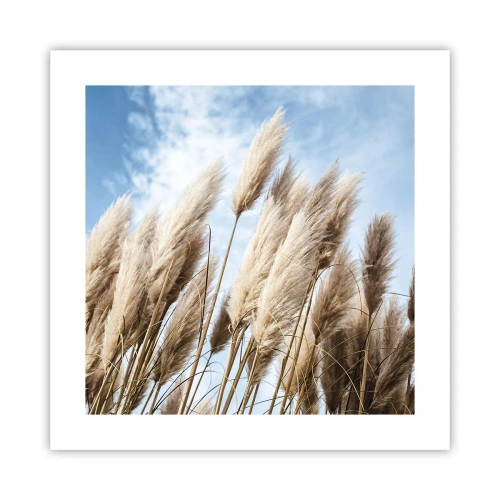 Poster - Caress of Sun and Wind - 40x40 cm