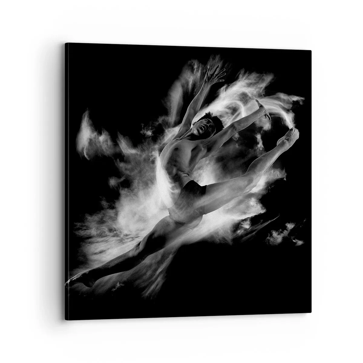 Canvas picture - Stopped i in Flight - 70x70 cm
