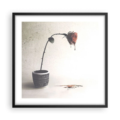 Poster in black frame - Rosa Dolorosa - 50x50 cm