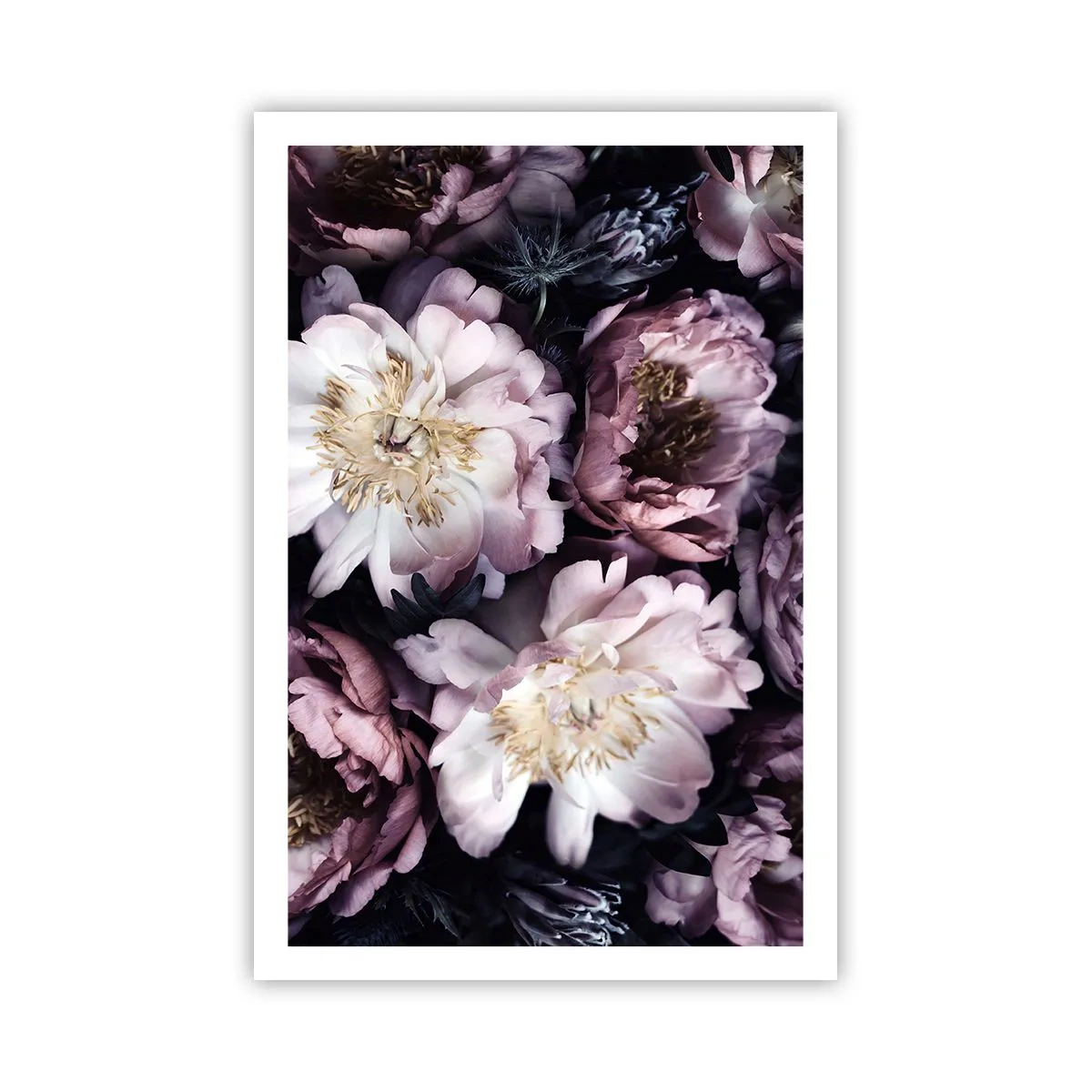 Poster - Old Style Bouquet - 61x91 cm