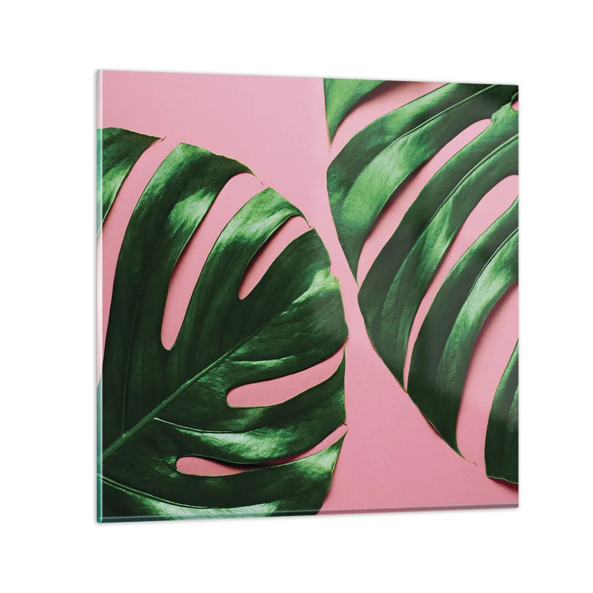 Glass picture - Green Rendezvous - 50x50 cm