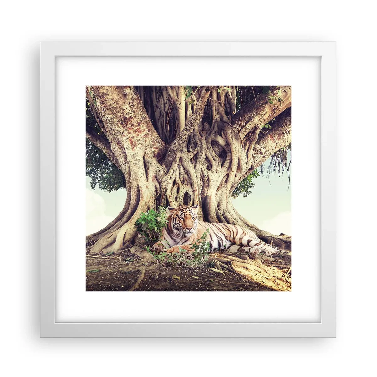 Poster in white frmae - View from the Genesis - 30x30 cm