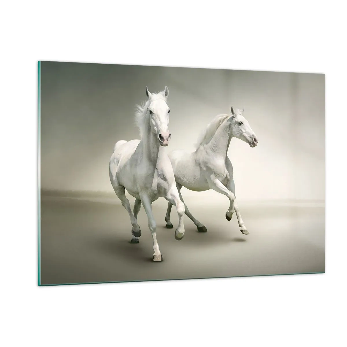 Glass picture - White Power! - 120x80 cm