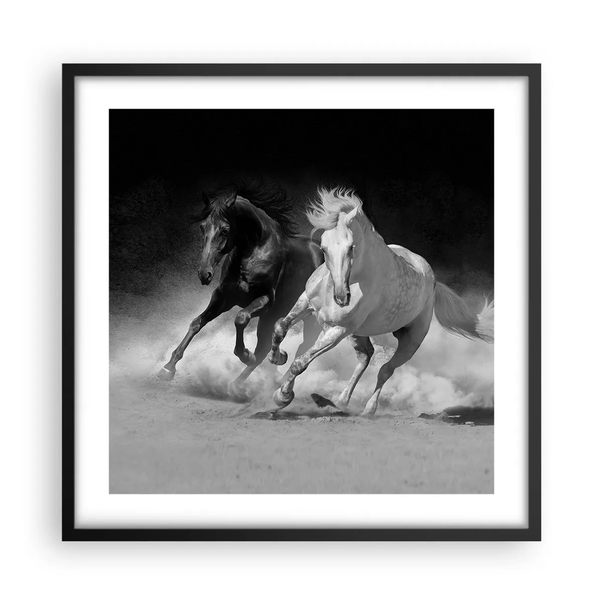 Poster in black frame - Gallop of Freedom - 50x50 cm