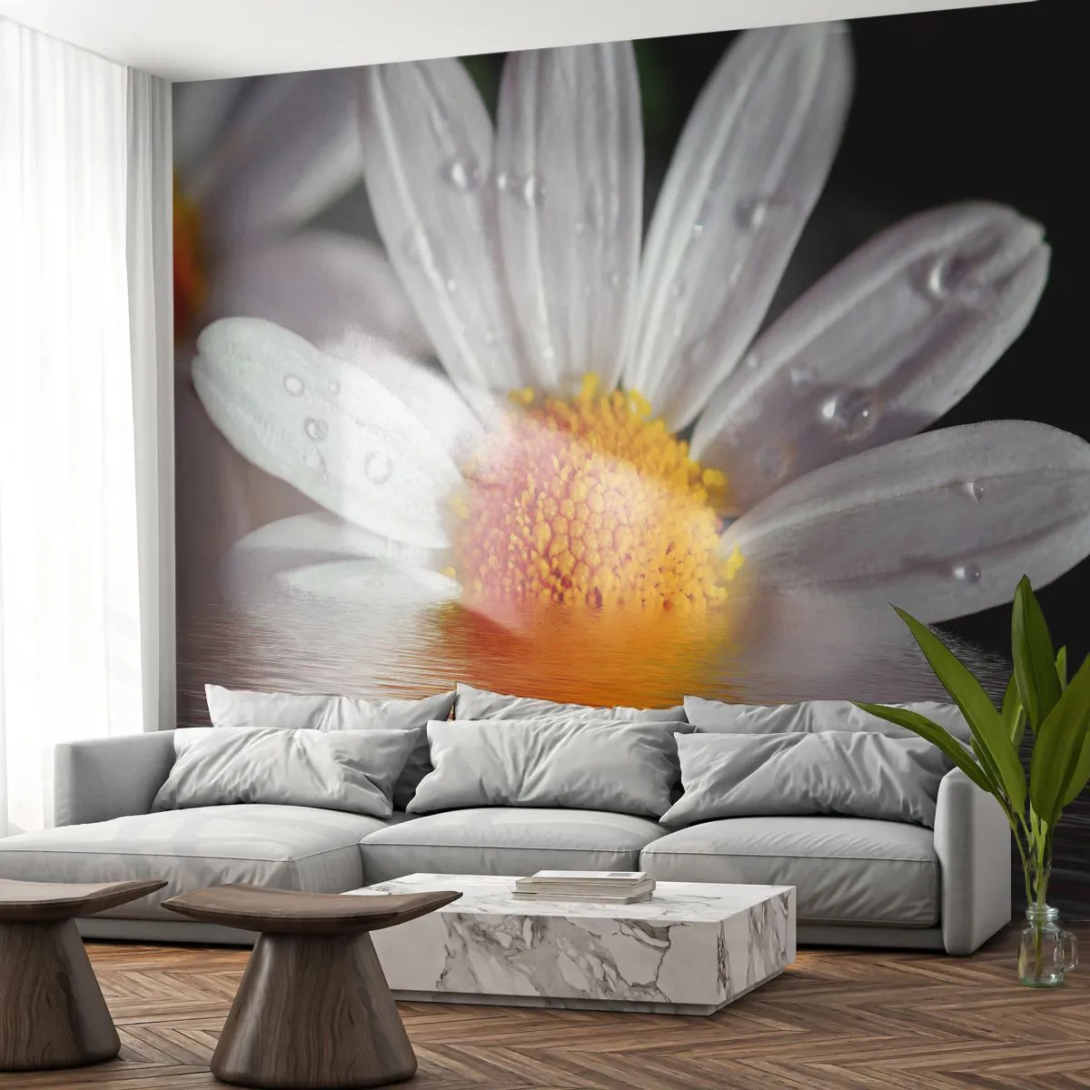 Photo Wallpaper Standard Eco - Sunrise of a Daisy - Flower, Chamomile, Nature - 350x256 cm
