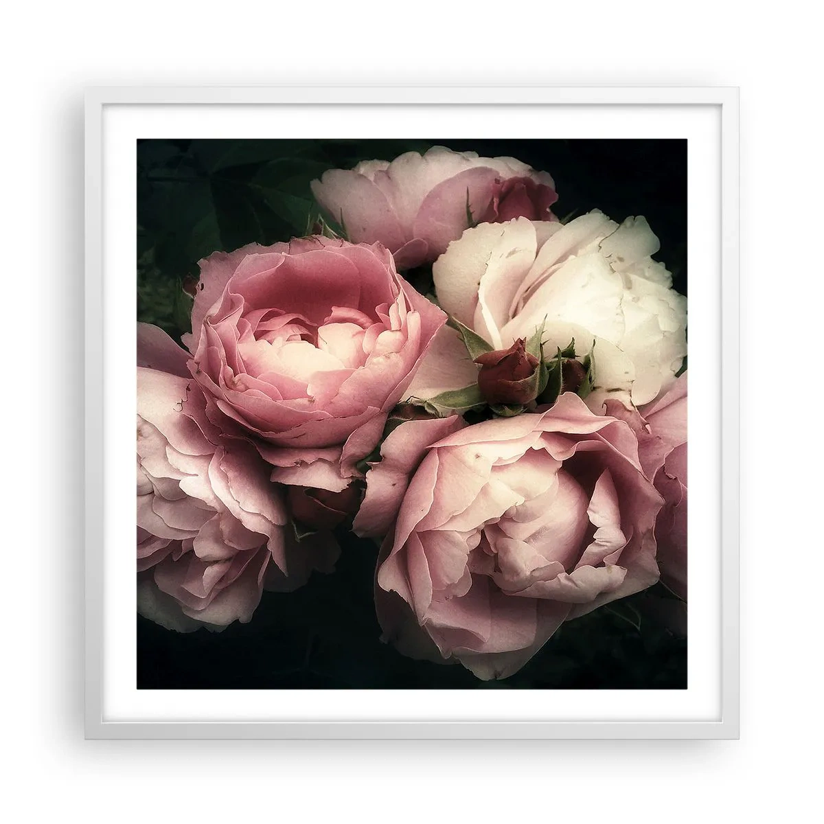 Poster in white frmae - Belle Epoque Charm - 60x60 cm