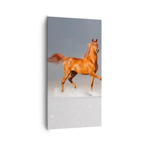 Canvas picture - Dancing Grace - 65x120 cm