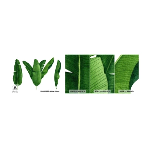 Photo Wallpaper Sample Self-Adhesive Deluxe Sticker - Green Symmetry - Banana Leaf, Tropical, Botanical Style - 100x30 cm