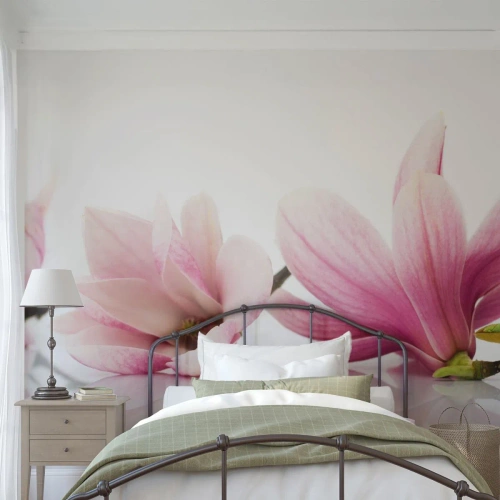 Photo Wallpaper Premium Canvas - Delicate Like a Spring Breeze - Flower, Magnolia, Nature - 400x280 cm