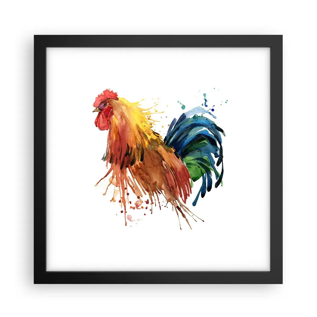 Poster in black frame - King Rooster - 30x30 cm