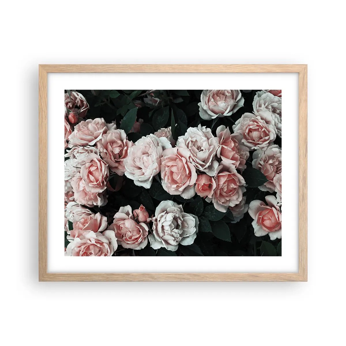 Poster in light oak frame - Rose Ensemble - 50x40 cm