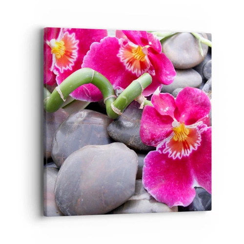 Canvas picture - Coolness and Heat - 40x40 cm