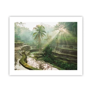 Poster - Maturing in the Sun - 50x40 cm