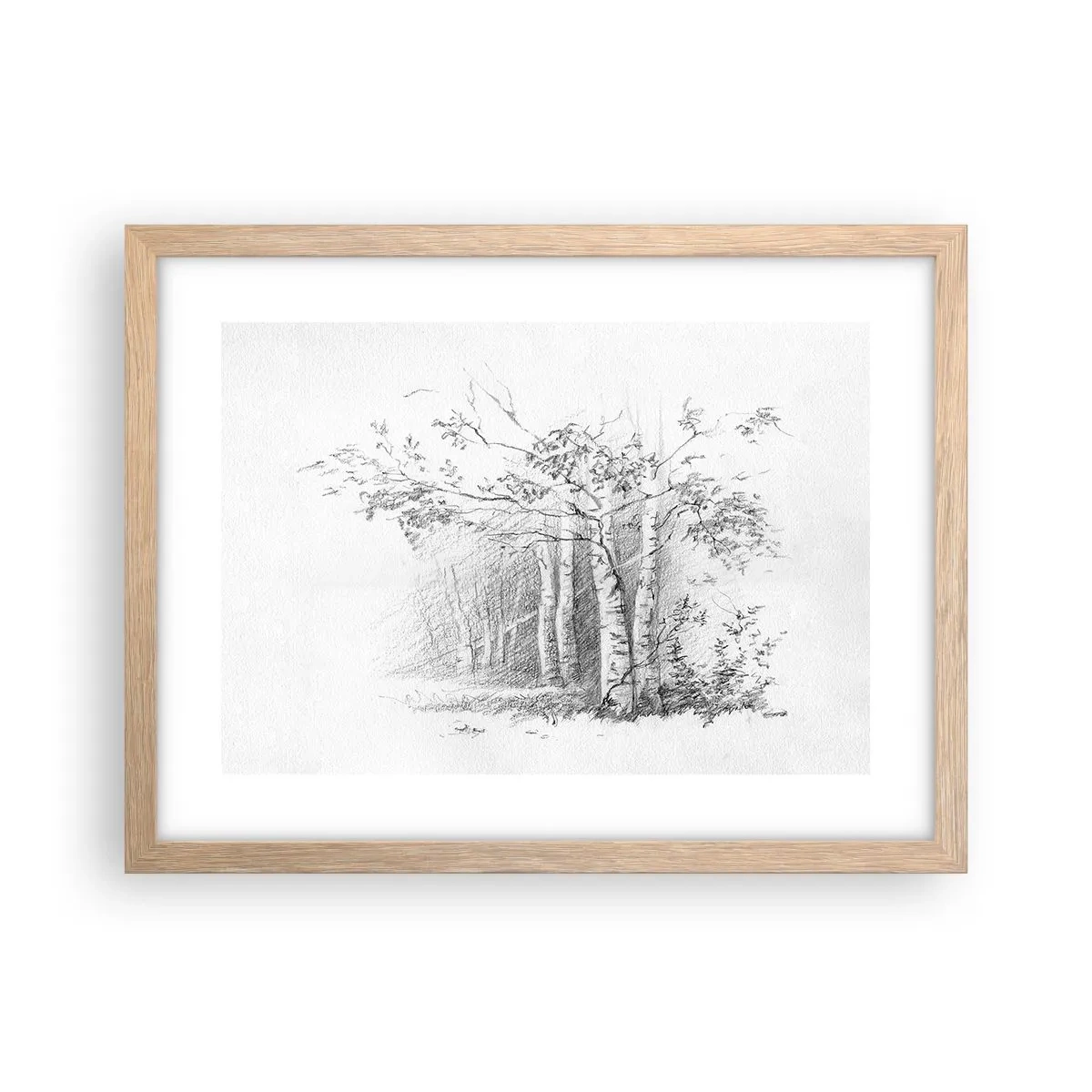 Poster in light oak frame - Holiday of Birch Forest - 40x30 cm