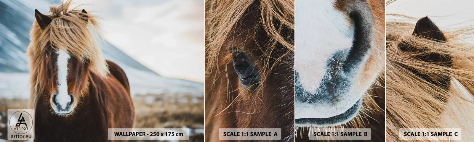 Photo Wallpaper Sample Standard Eco - Can You Feel the Freedom? - Horse, Nature, Animals - 100x30 cm