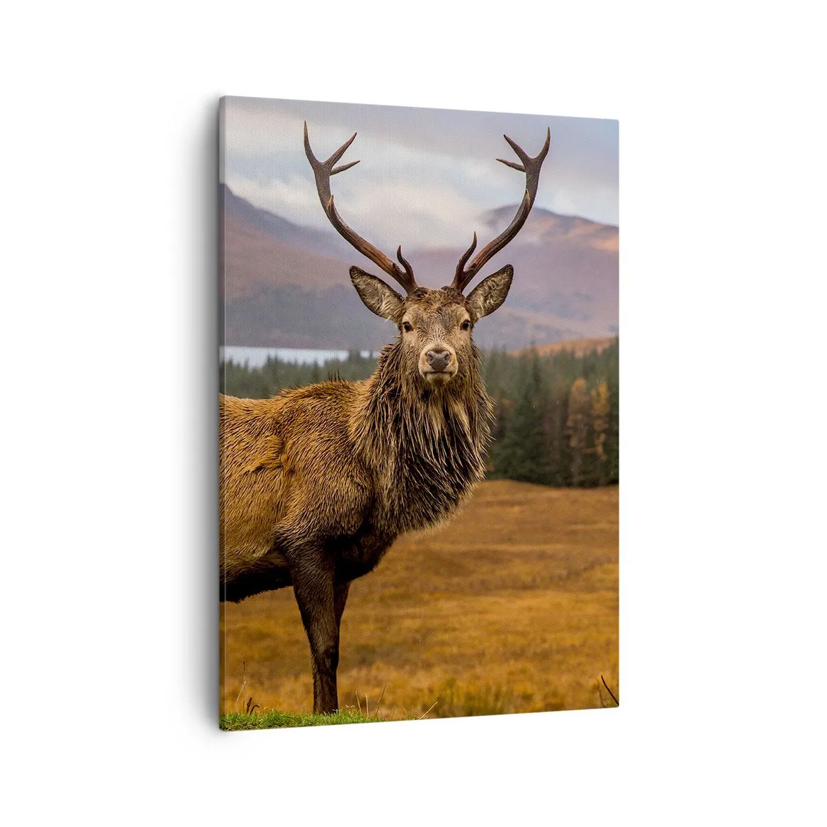 Canvas picture - Majesty of Nature - 50x70 cm