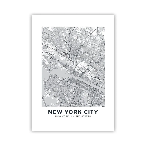 Poster - Anatomy of Metropolis - 50x70 cm