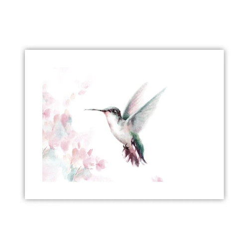 Poster - Stopped in Flutter - 40x30 cm