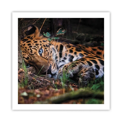 Poster - Trust Me - 60x60 cm