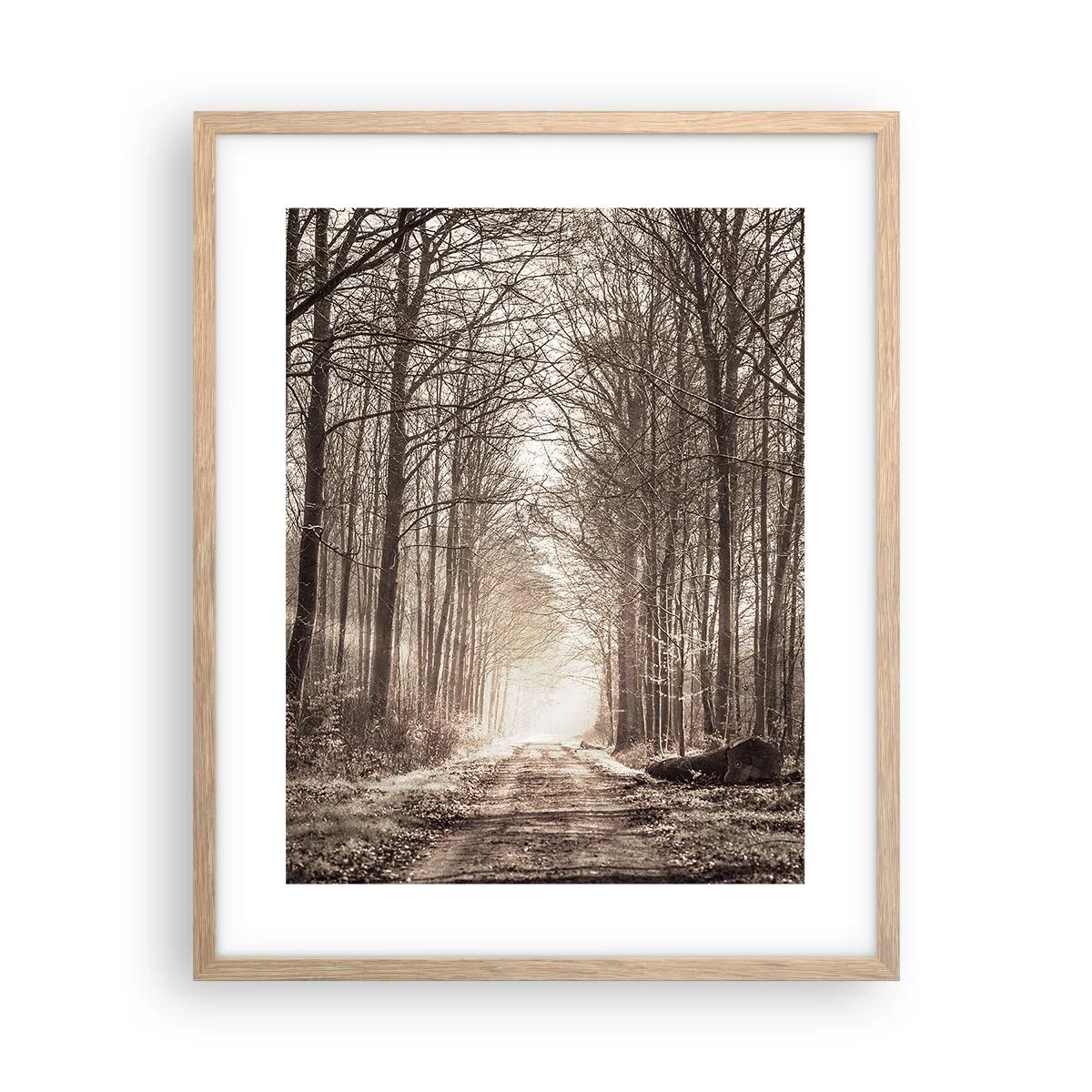 Poster in light oak frame - Cathedral of the Forest - 40x50 cm