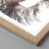 Light Oak