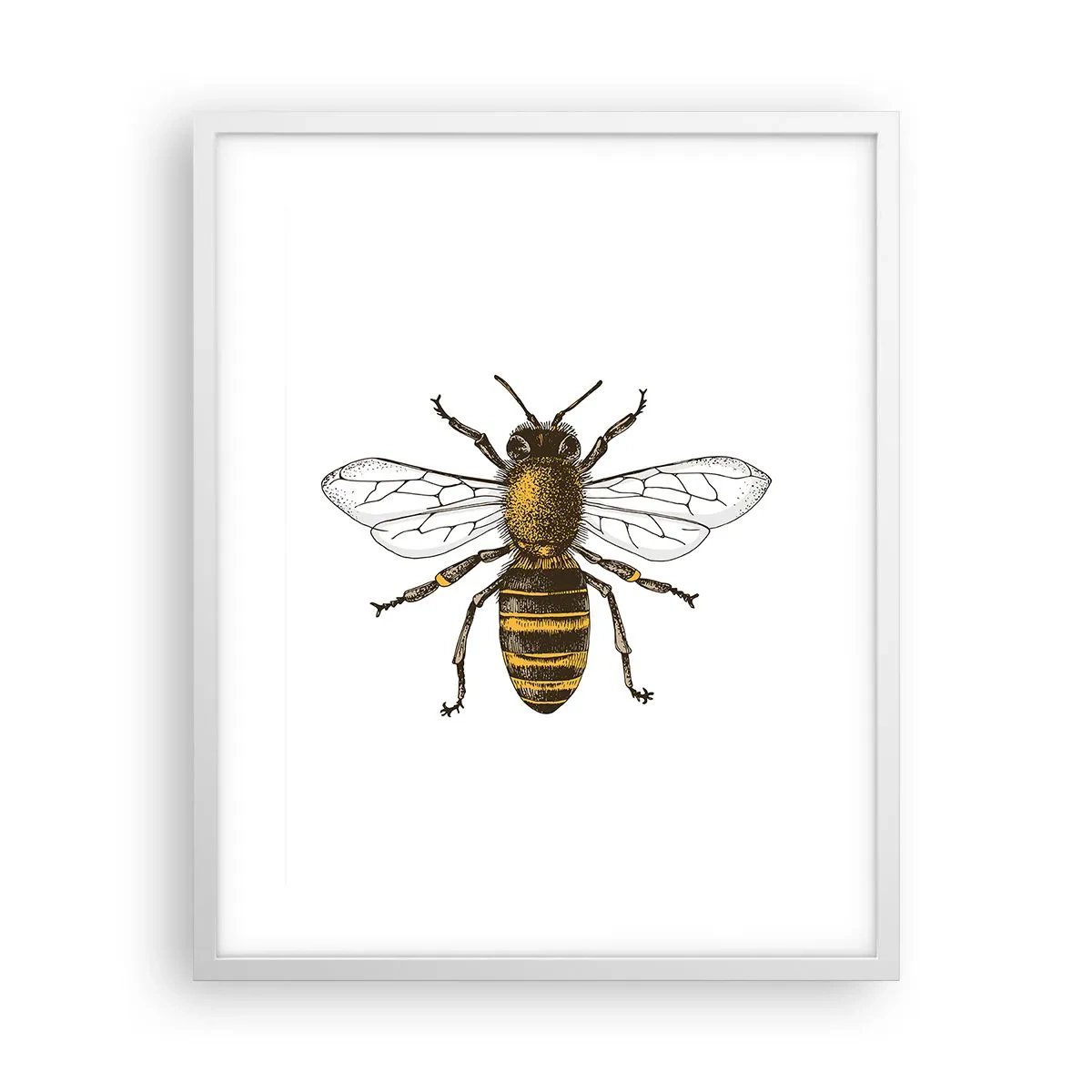 Poster in white frmae - Beautiful and Good - 40x50 cm