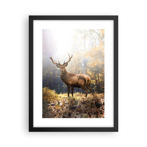 Poster in black frame - In Full Majesty - 30x40 cm