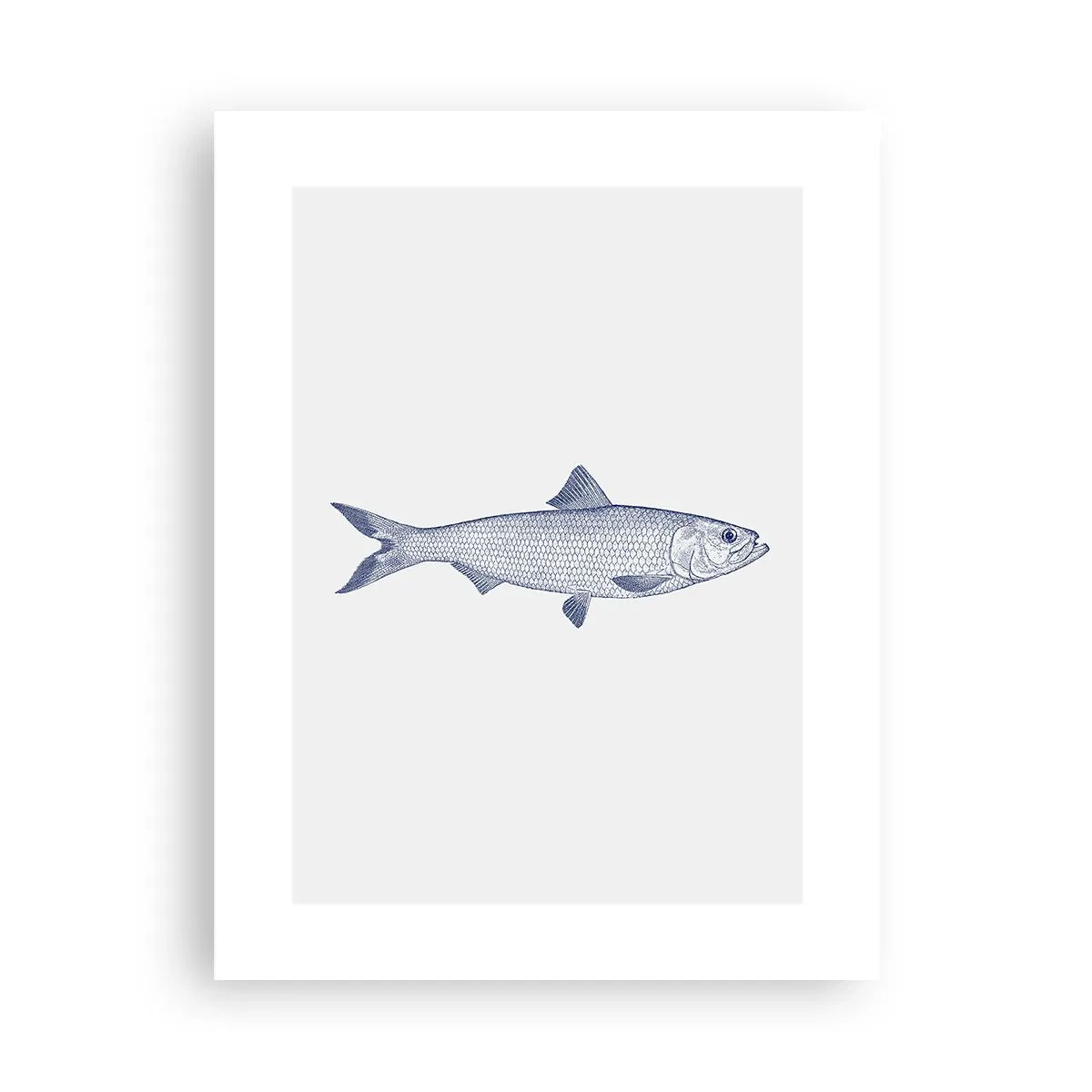 Poster - Greetings From Northern Seas - 30x40 cm