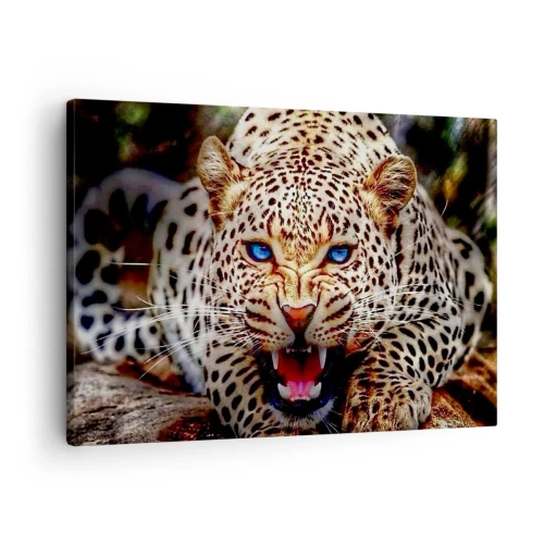 Canvas picture - A menacing leopard with intense blue eyes - 70x50cm - Angry but Still Beautiful - Modern wall decoration for the living room and bedroom ARTTOR