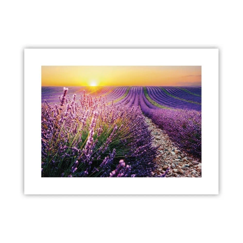 Poster - Fragrant Field - 40x30 cm
