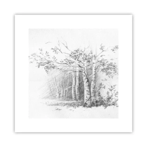 Poster - Holiday of Birch Forest - 30x30 cm