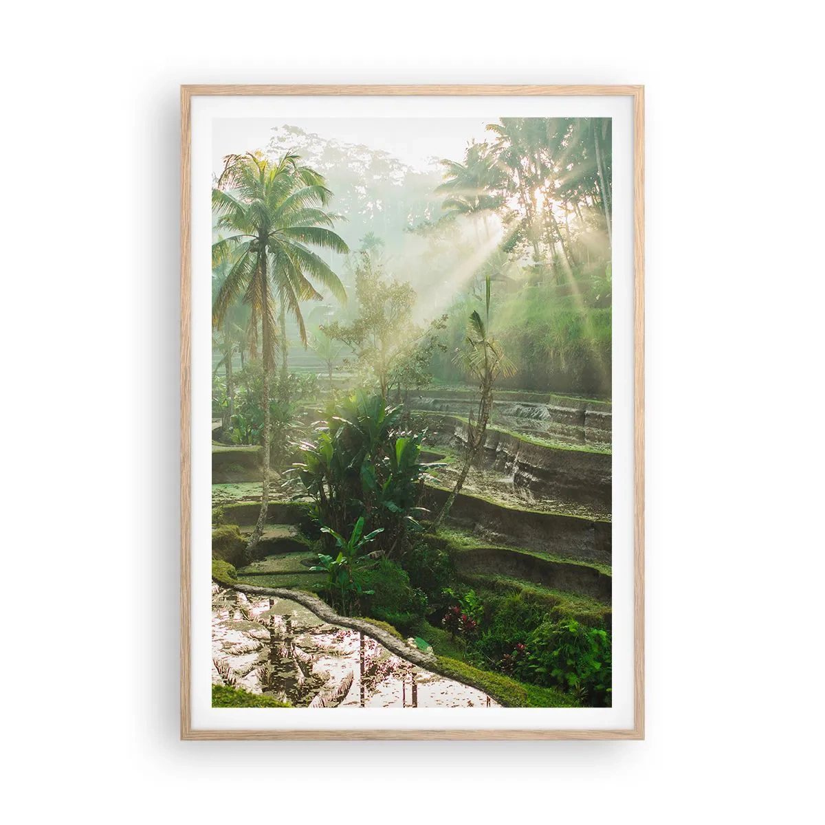 Poster in light oak frame - Maturing in the Sun - 70x100 cm