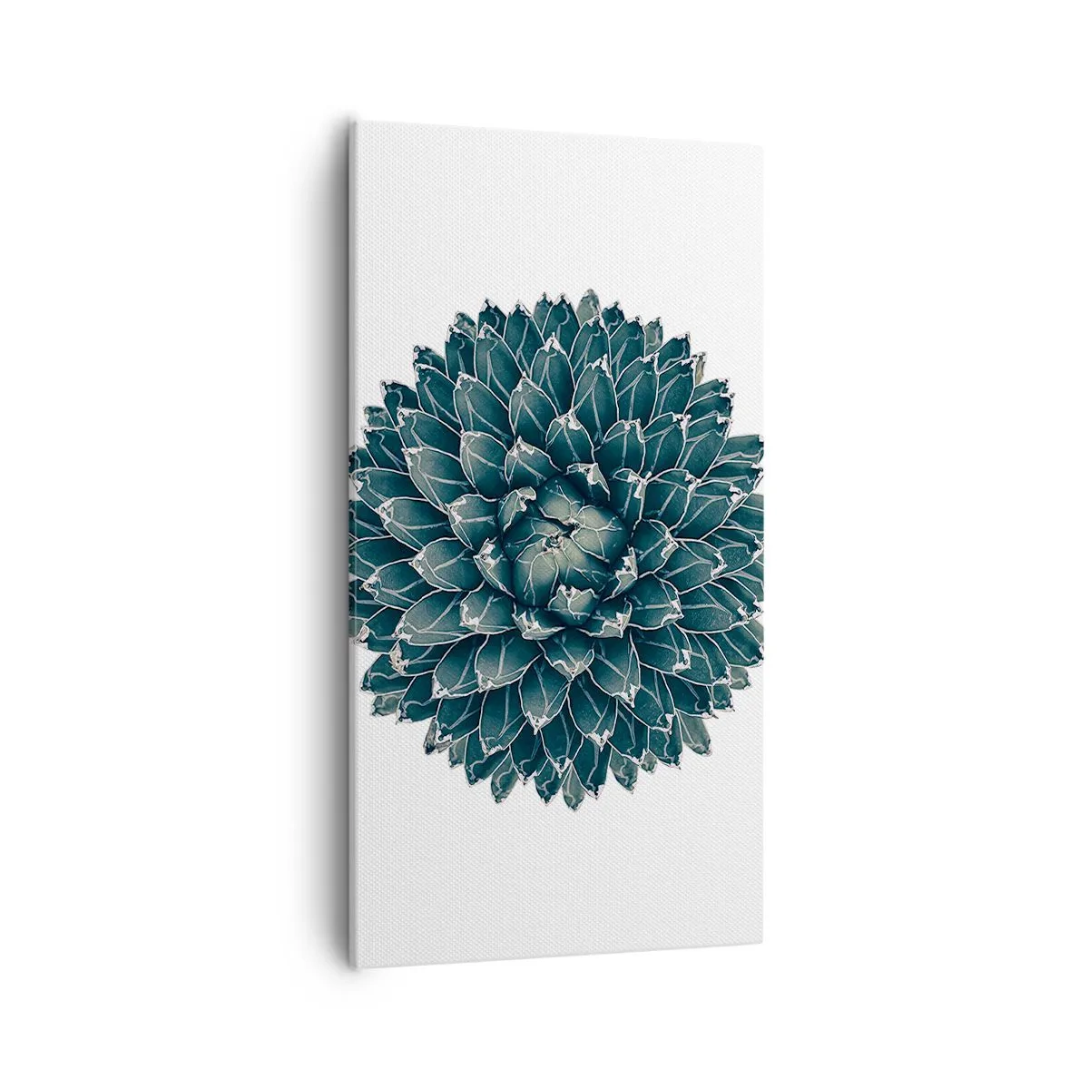 Canvas picture - Star of the Desert - 55x100 cm