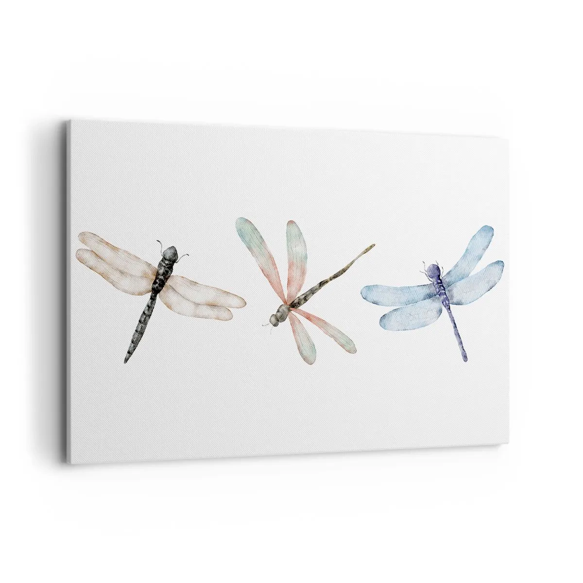 Canvas picture - Lightness of Dragonflies - 100x70 cm