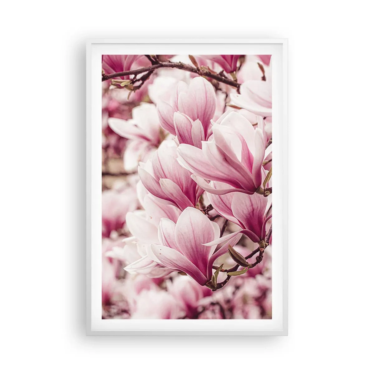 Poster in white frmae - Spring is Pink - 61x91 cm