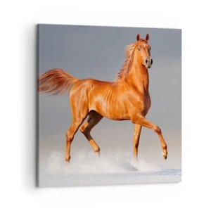 Canvas picture - Dancing Grace - 60x60 cm