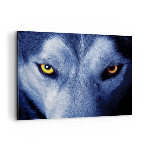 Canvas picture - Mesmerising Look - 100x70 cm