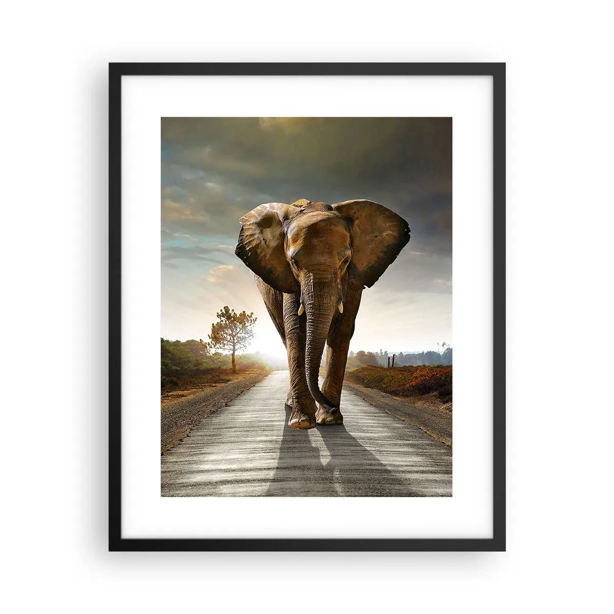 Poster in black frame - Not in a China Shop - 40x50 cm
